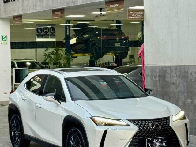 LEXUS UX 300H