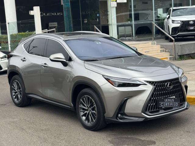 NX 350H 